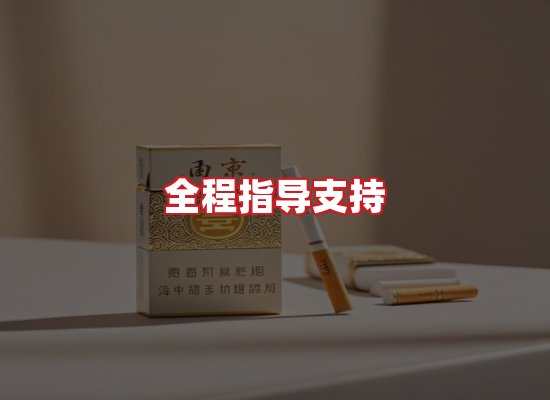 专业团队
